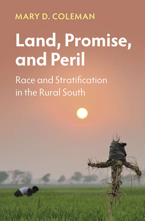 Book cover of Land, Promise, and Peril: Race and Stratification in the Rural South (Cambridge Studies in Stratification Economics: Economics and Social Identity)