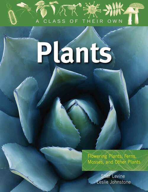 Book cover of Plants: Flowering Plants, Ferns, Mosses, and Other Plants (Class of Their Own)
