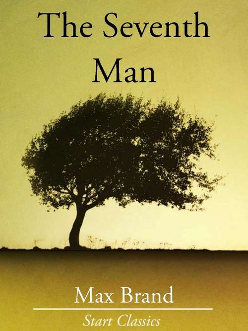 Book cover of The Seventh Man