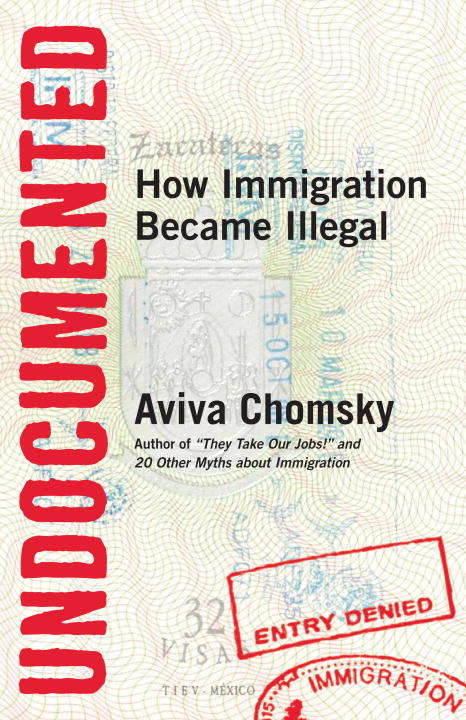Book cover of Undocumented
