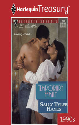 Book cover of Temporary Family