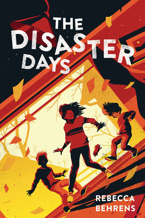 Book cover of The Disaster Days