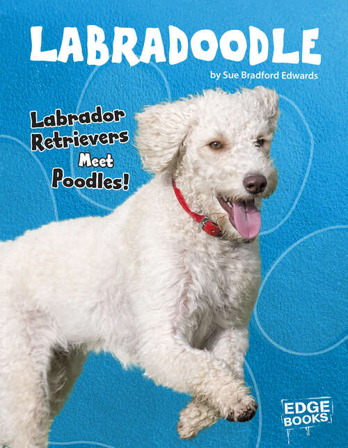 Book cover of Labradoodle: Labrador Retrievers Meet Poodles! (Top Hybrid Dogs Ser.)