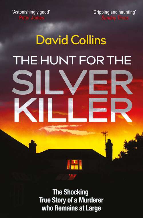 Book cover of The Hunt for the Silver Killer: The Shocking True Story of a Murderer who Remains at Large