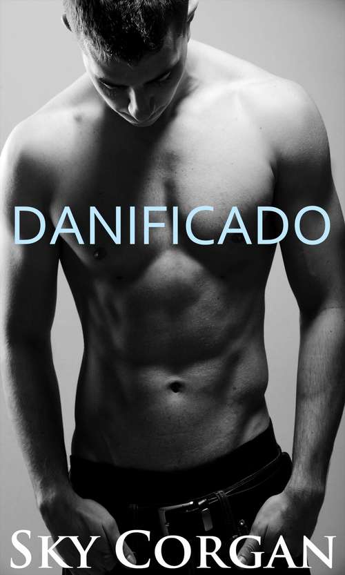 Book cover of Danificado