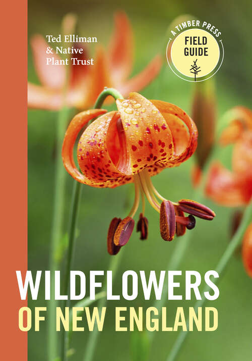 Book cover of Wildflowers of New England: Timber Press Field Guide (A Timber Press Field Guide)