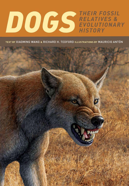 Book cover of Dogs: Their Fossil Relatives and Evolutionary History