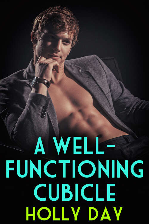 Book cover of A Well-Functioning Cubicle