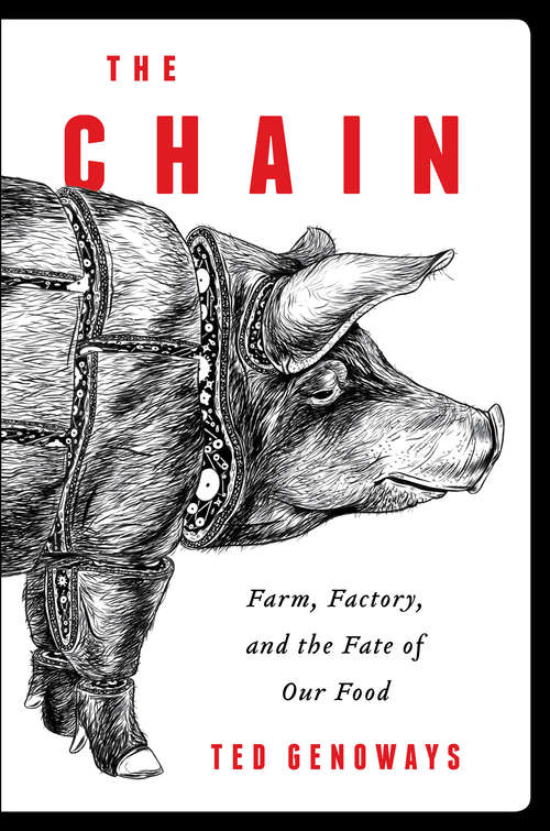 Book cover of The Chain