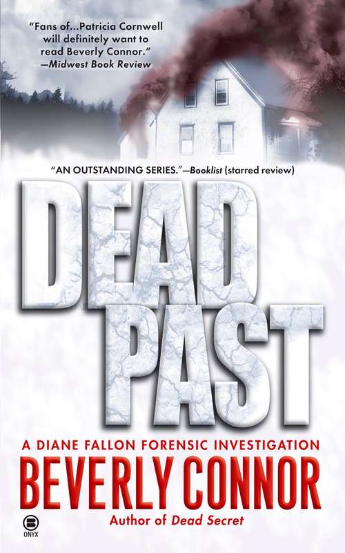 Book cover of Dead Past