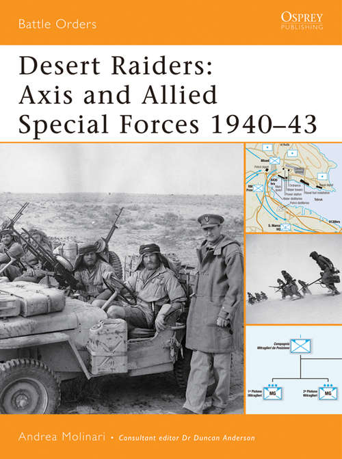Book cover of Desert Raiders: Axis and Allied Special Forces 1940-43