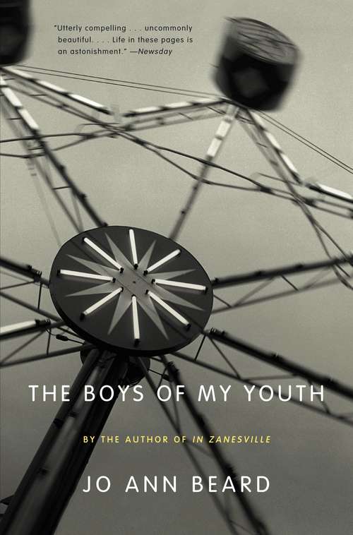 Book cover of The Boys of My Youth