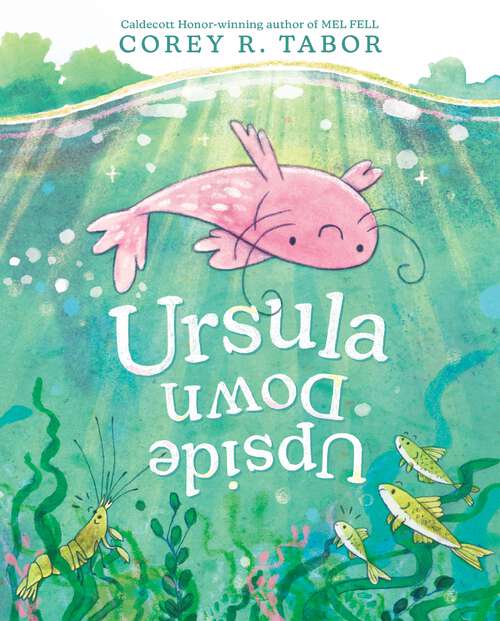 Book cover of Ursula Upside Down