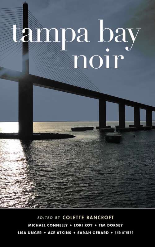 Book cover of Tampa Bay Noir (Akashic Noir #0)