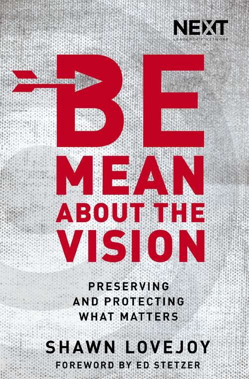 Book cover of Be Mean About the Vision: Preserving and Protecting What Matters