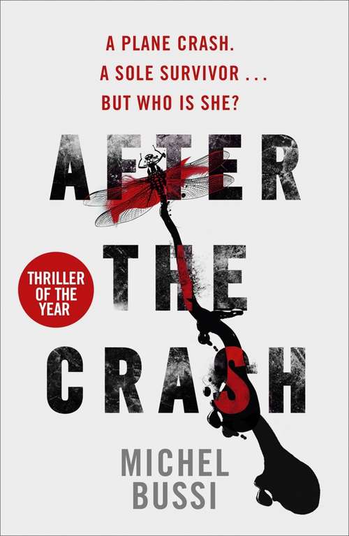 Book cover of After the Crash: A Novel