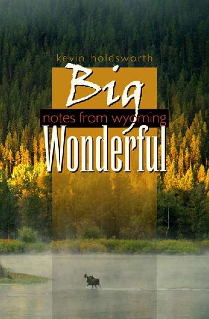 Book cover of Big Wonderful
