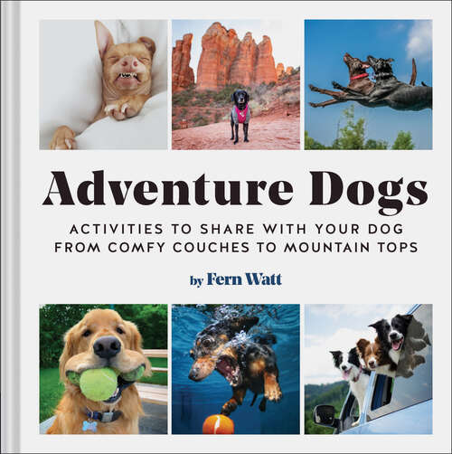 Book cover of Adventure Dogs: Activities to Share with Your Dog - from Comfy Couches to Mountain Tops