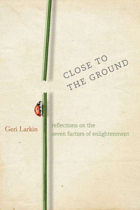 Book cover of Close to the Ground