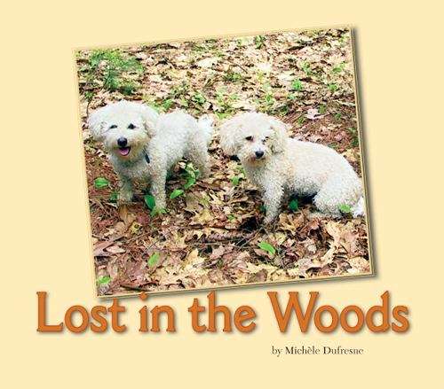 Book cover of Lost in the Woods