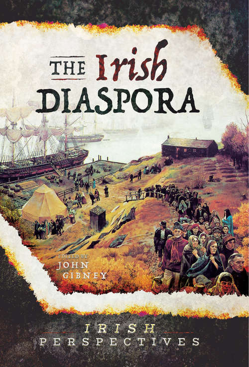 Book cover of The Irish Diaspora: The 1641 Rebellion In Irish History And Memory (Irish Perspectives)