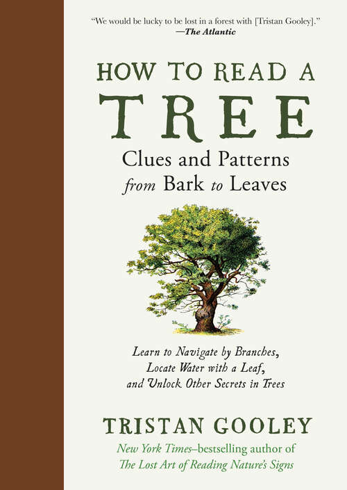 Book cover of How to Read a Tree: Clues And Patterns From Bark To Leaves (Natural Navigation #0)