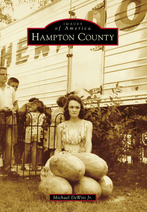 Book cover of Hampton County