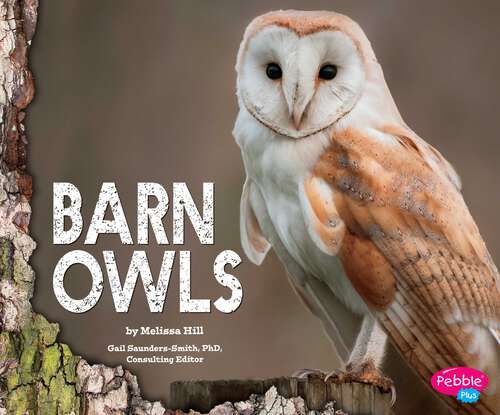 Book cover of Barn Owls (Owls Ser.)