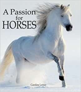 Book cover of A Passion for Horses