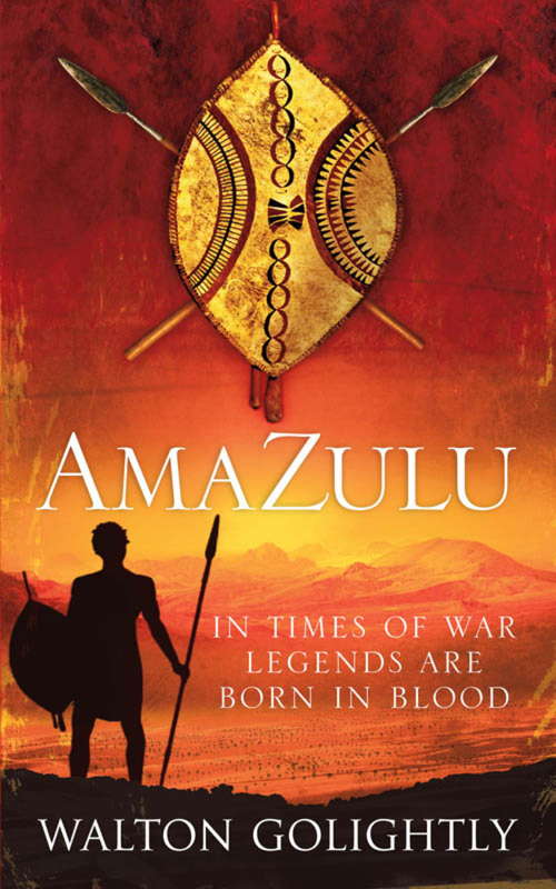 Book cover of Amazulu