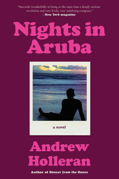 Book cover of Nights in Aruba: A Novel