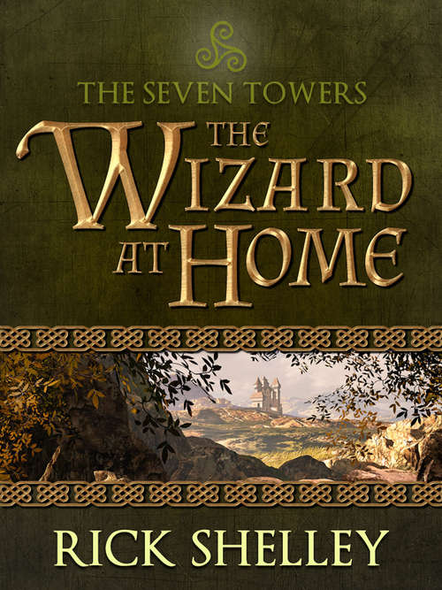 Book cover of The Wizard at Home