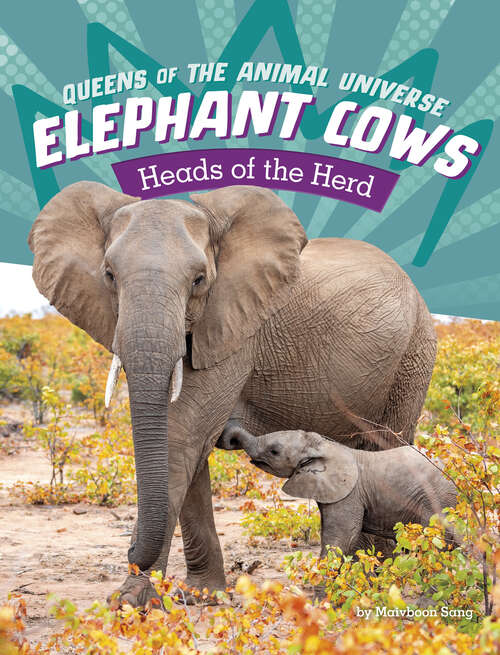 Book cover of Elephant Cows: Heads of the Herd (Queens of the Animal Universe)