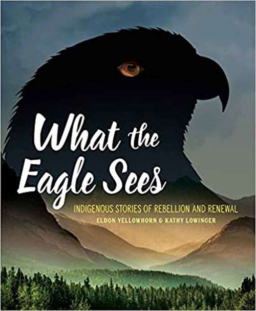 Book cover of What the Eagle Sees: Indigenous Stories of Rebellion and Renewal