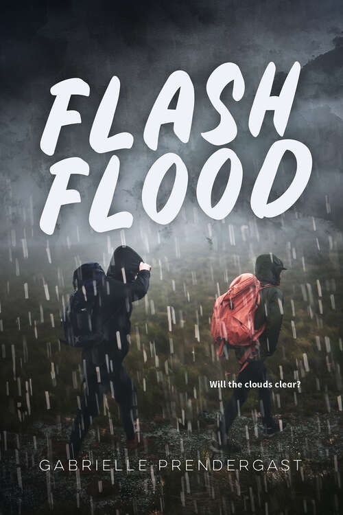 Book cover of Flash Flood (Orca Anchor)