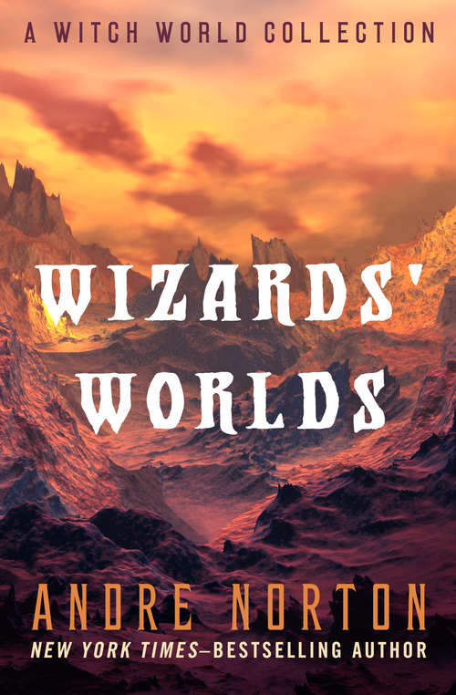 Book cover of Wizard's Worlds: A Short Story Collection