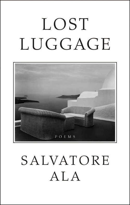 Book cover of Lost Luggage