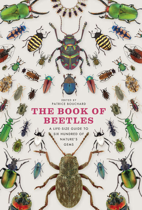 Book cover of The Book of Beetles