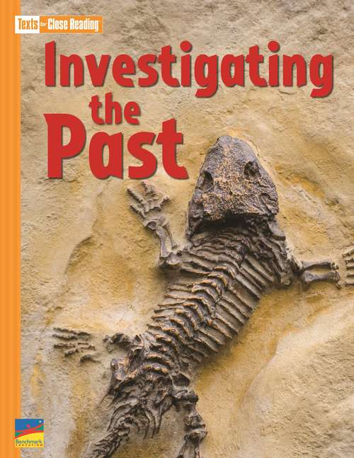 Book cover of Investigating the Past
