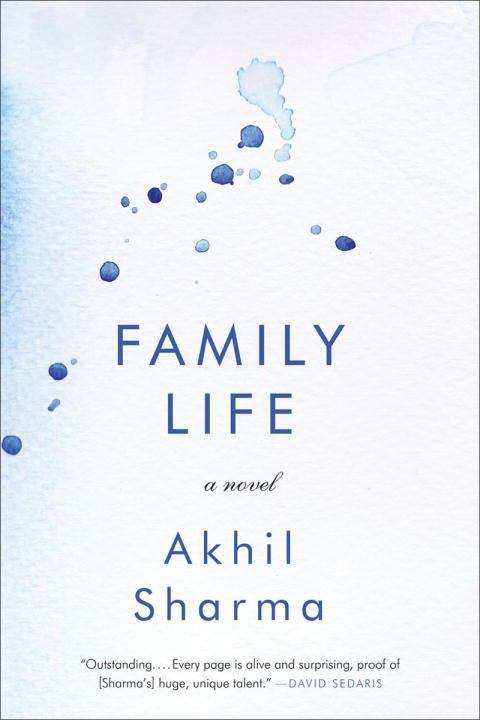 Book cover of Family Life: A Novel