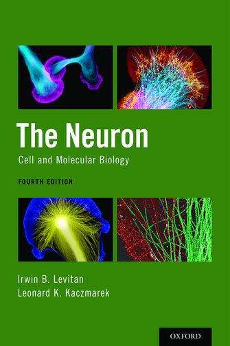 The Neuron: Cell And Molecular Biology
