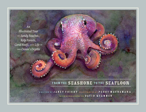 Book cover of From the Seashore to the Seafloor: An Illustrated Tour of Sandy Beaches, Kelp Forests, Coral Reefs, and Life in the Ocean's Depths
