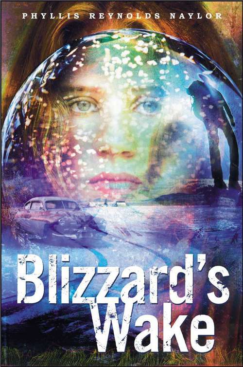 Book cover of Blizzard's Wake