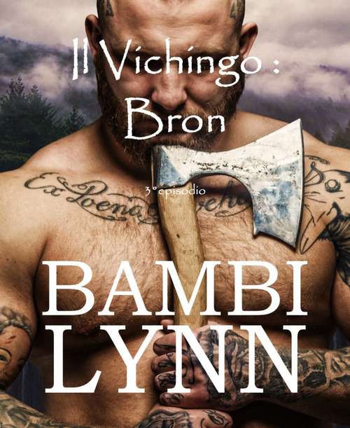 Book cover of Il vichingo Bron