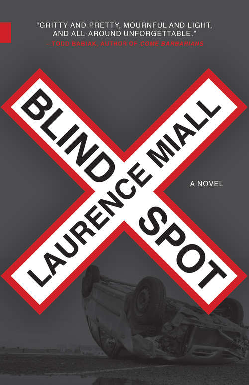 Book cover of Blind Spot (Nunatak First Fiction Series #38)