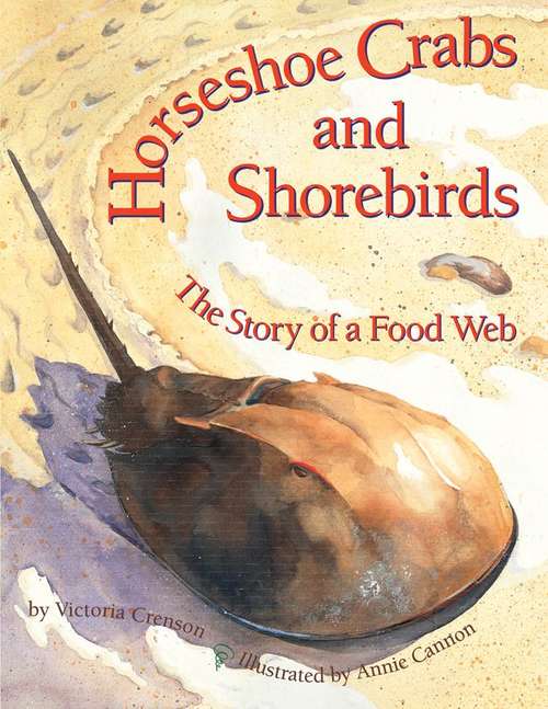 Horseshoe Crabs And Shorebirds: The Story Of A Foodweb