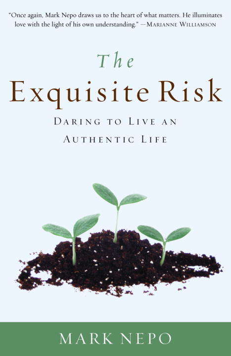Book cover of The Exquisite Risk: Daring to Live an Authentic Life