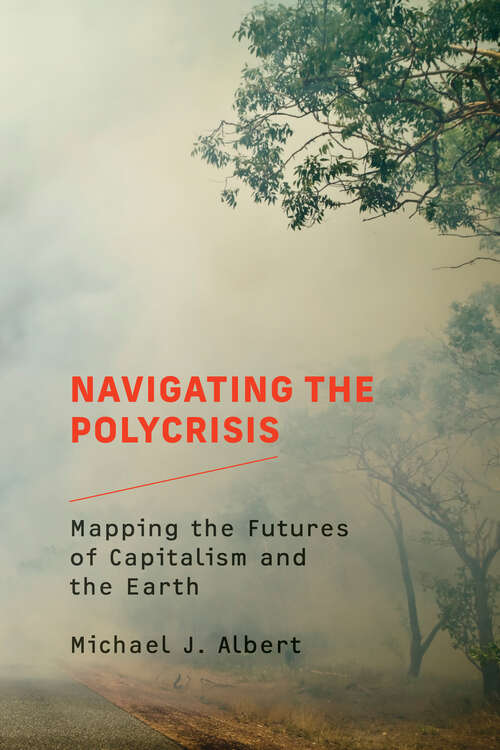 Book cover of Navigating the Polycrisis: Mapping the Futures of Capitalism and the Earth