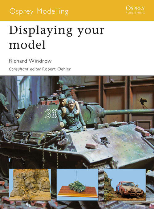 Book cover of Displaying your Model