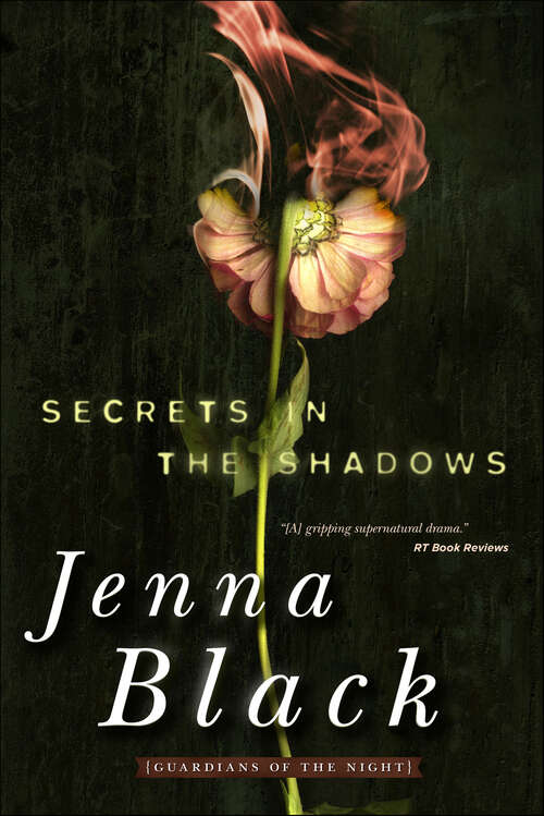 Book cover of Secrets in the Shadows (Guardians of the Night Series)
